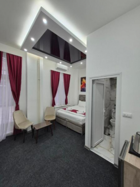 Authentic Belgrade Centre - 4 Luxury Suites in One Space